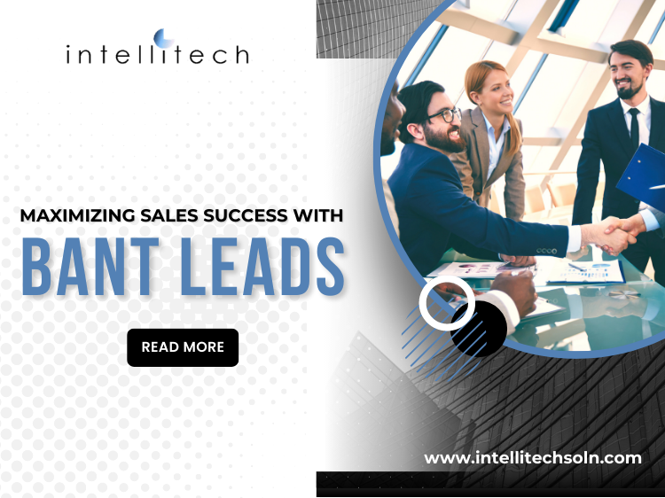 Maximizing Sales Success with BANT Leads